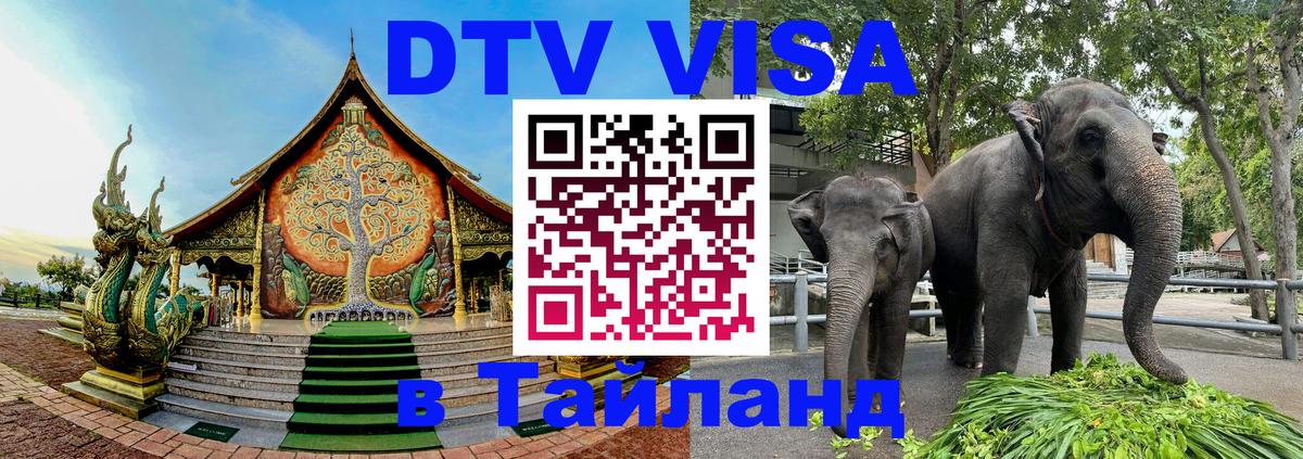 DTV Visa Thailand — прайс и условия, виза без дополнительных документов - Багдад  05.10.2025 